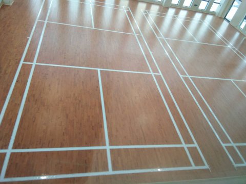 河南正陽運(yùn)動木地板行業(yè)較好的