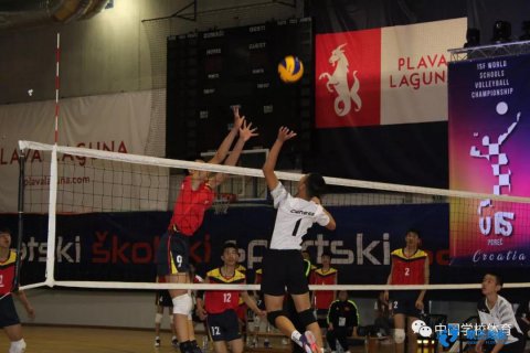 籃球場運(yùn)動木地板有哪些材料-楊柏林