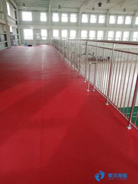 運(yùn)動木地板，現(xiàn)代體育場館設(shè)施必備-楊柏林