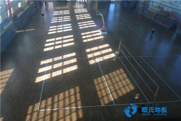 運(yùn)動(dòng)體育地板生產(chǎn)廠(chǎng)家