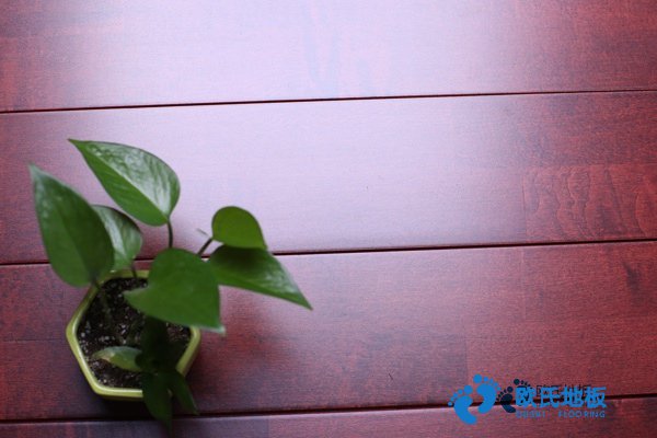 學(xué)?；@球地板的參數(shù)