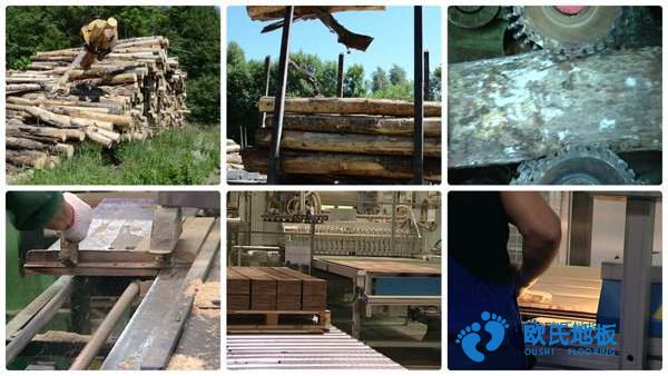 學(xué)?；@球場(chǎng)木地板防護(hù)