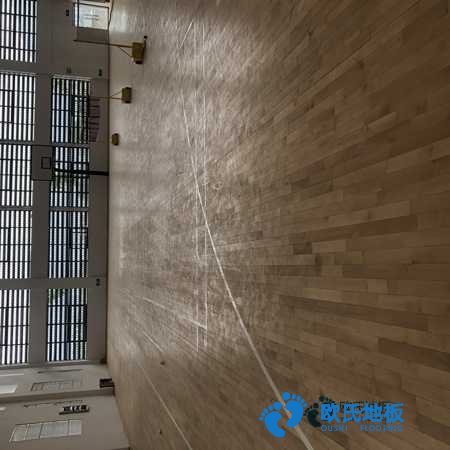 學(xué)?；@球館地板木紋型