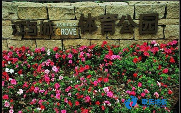 學(xué)?；@球場地地板反彈力