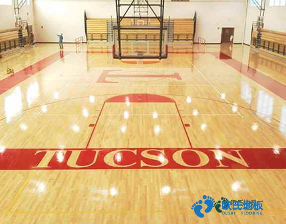 學(xué)?；@球地板減震技術(shù)