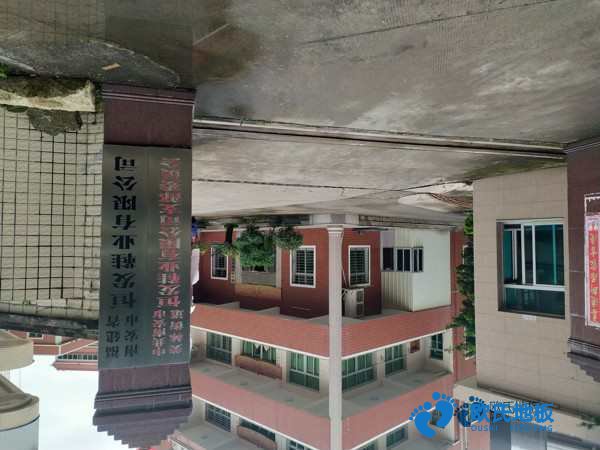 學(xué)?；@球場地地板防潮層