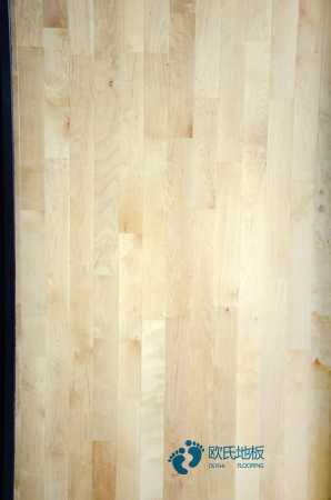 國(guó)標(biāo)運(yùn)動(dòng)籃球木地板2