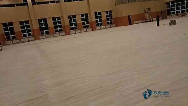 運(yùn)動(dòng)體育木地板廠(chǎng)商2