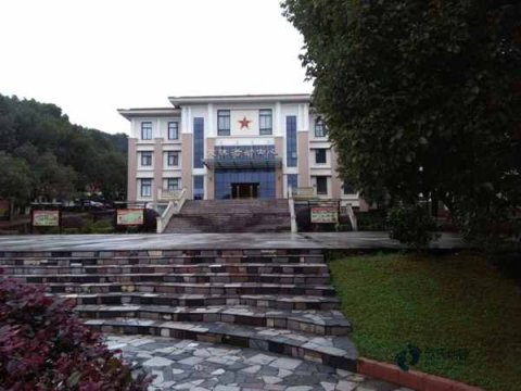 實木體育地板結(jié)構(gòu)形式