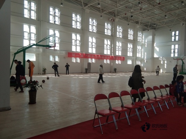 楓樺木運(yùn)動(dòng)場木地板排名2