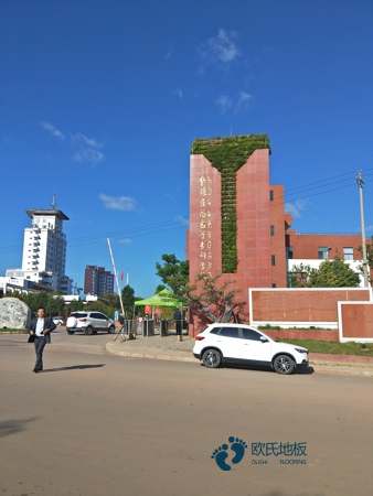 彈性舞臺(tái)木地板較好的1