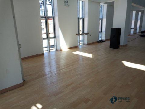 定做運(yùn)動(dòng)場(chǎng)地板品牌大全