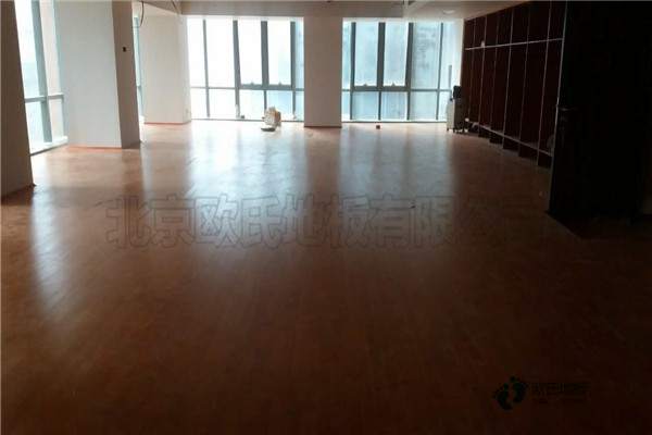 學(xué)?；@球木地板防震2