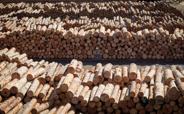 學(xué)?；@球地板反彈力